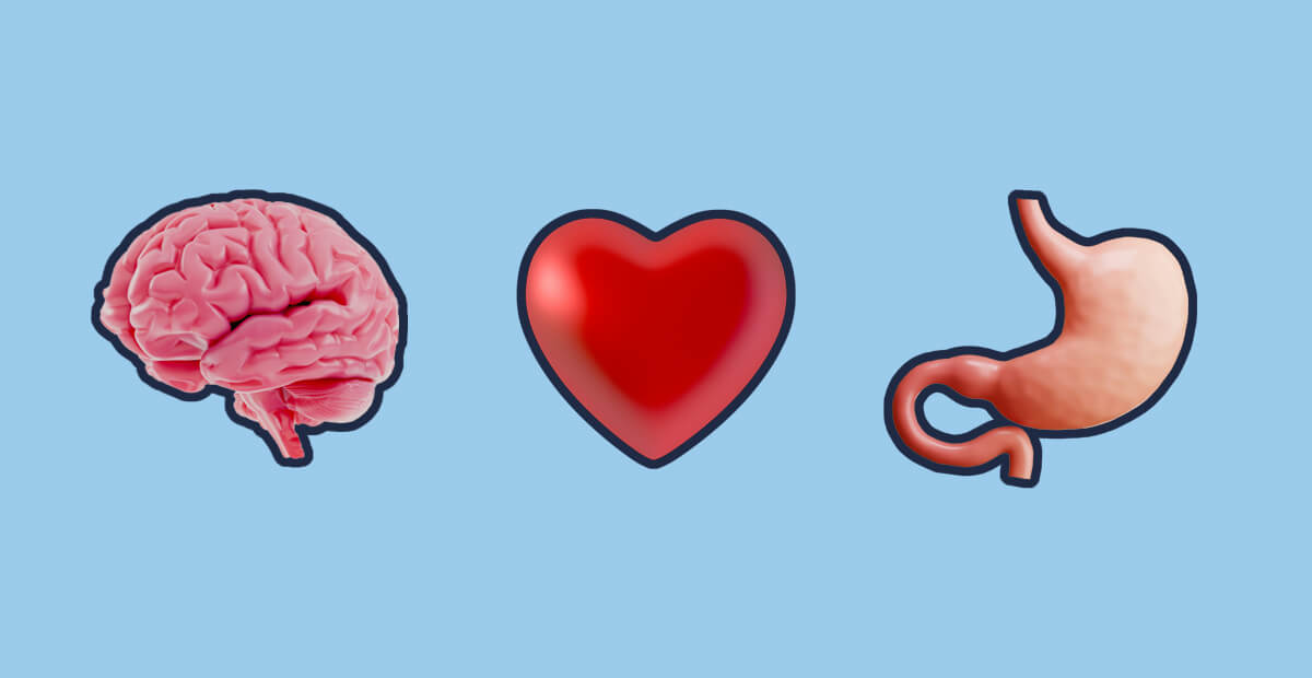 The science behind the 3 brains — the head, heart and gut